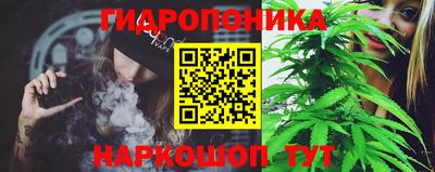 a pvp Обнинск